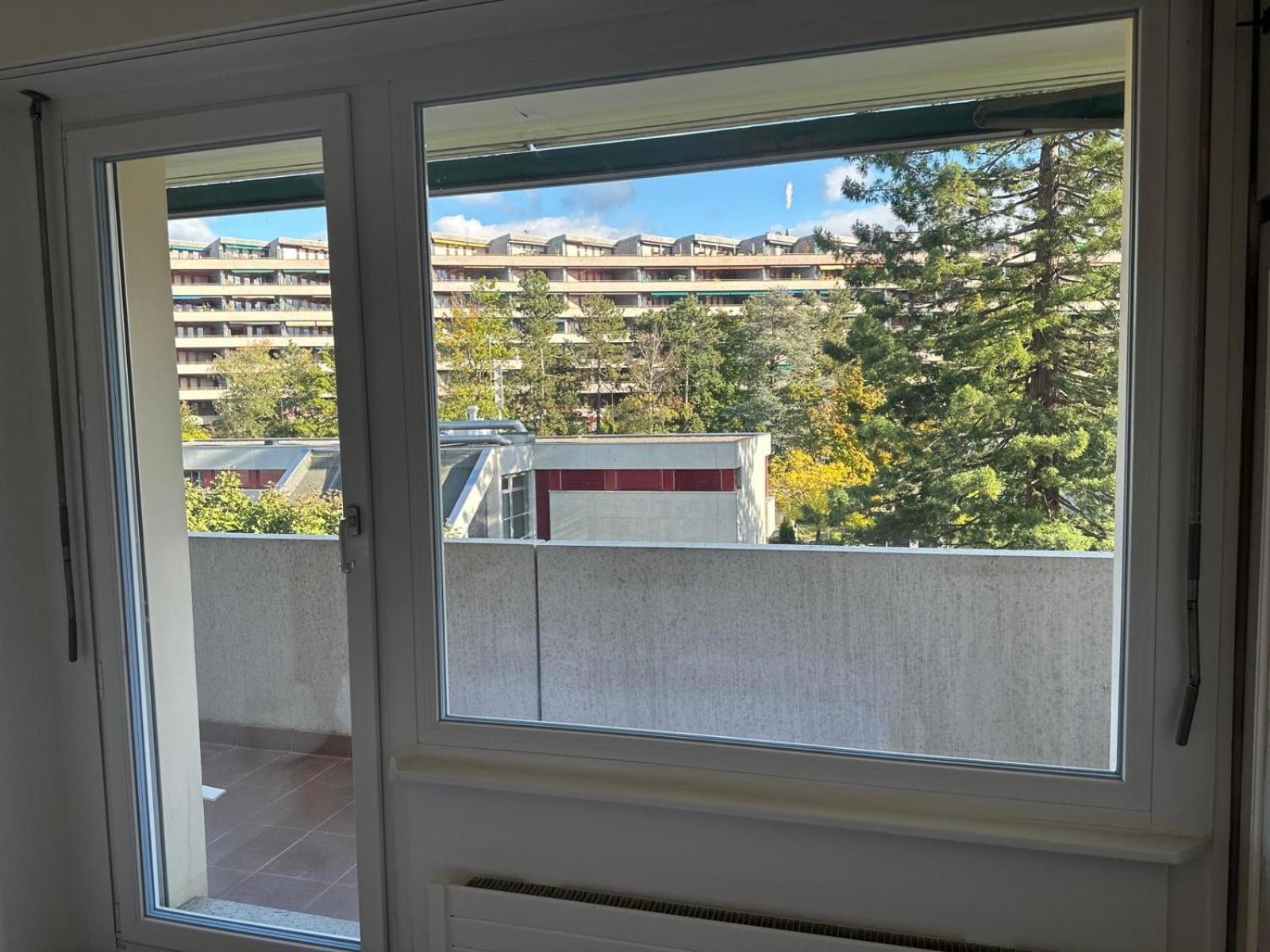 Beautiful 2-bed Near Palexpo, Un Agencies & Diplomatic Missions Genève