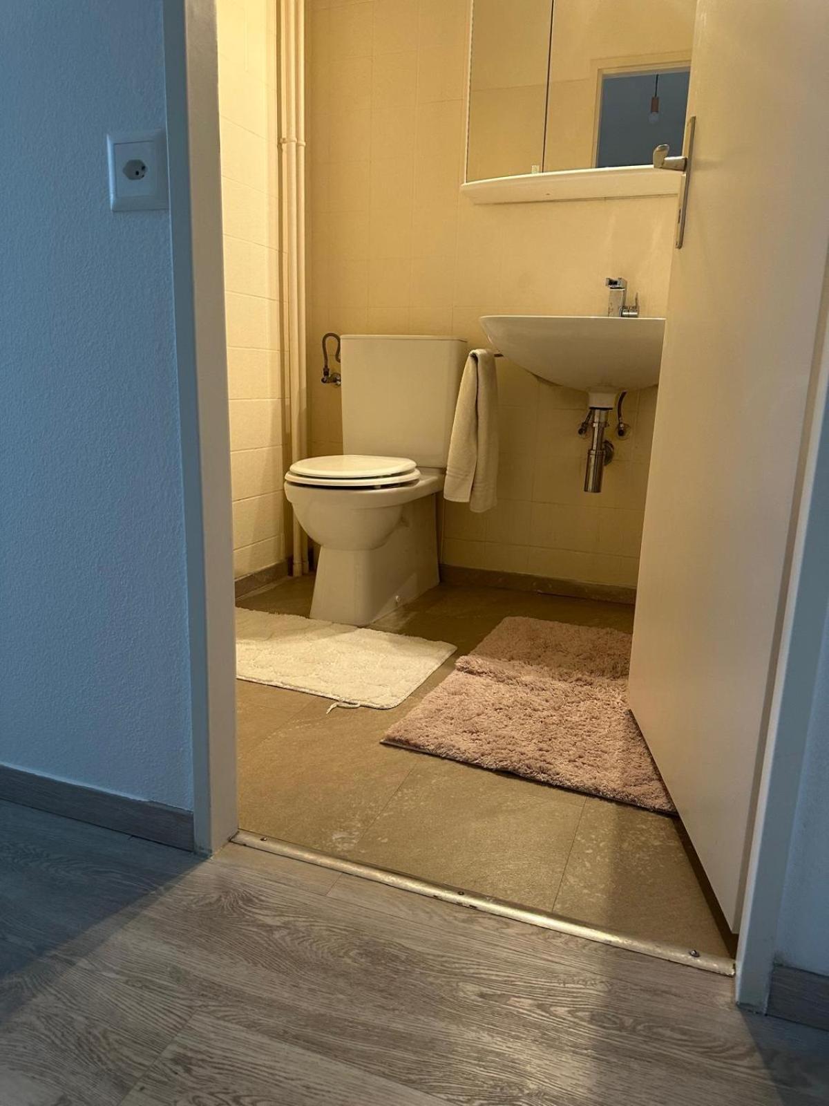 Appartement Beautiful 2-bed Near Palexpo, Un Agencies & Diplomatic Missions *