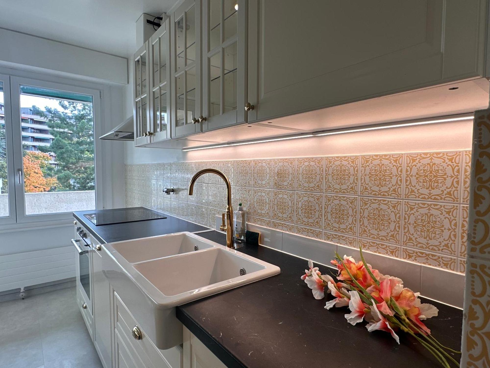 Appartement Beautiful 2-bed Near Palexpo, Un Agencies & Diplomatic Missions *