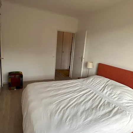 Beautiful 2-bed Near Palexpo, Un Agencies & Diplomatic Missions Apartment